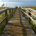 Pensacola Florida A52516